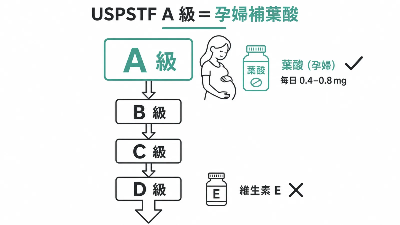 USPSTF A 級建議為孕婦補充葉酸示意圖