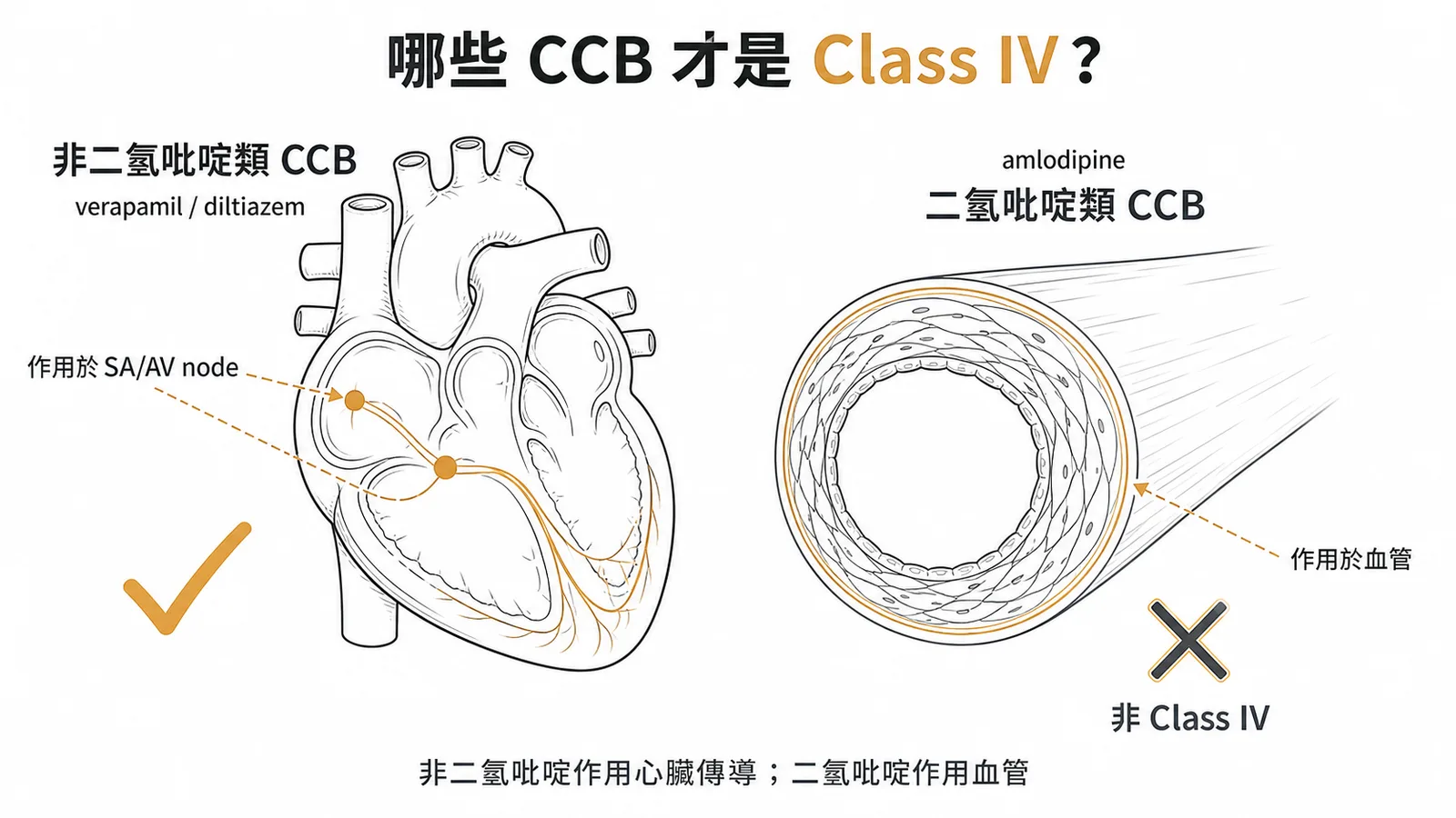 Class IV抗心律不整藥為非二氫吡啶類CCB,amlodipine屬二氫吡啶類不歸此類
