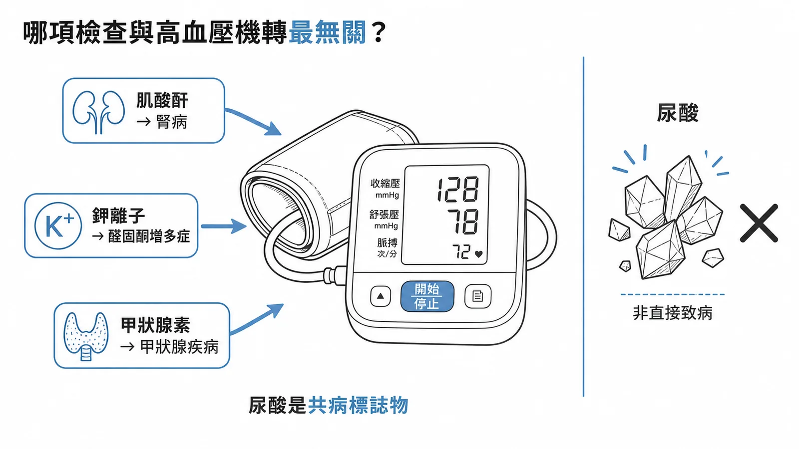 高血壓致病機轉檢查中，尿酸與致病機轉直接相關性最低，僅為共病標誌物