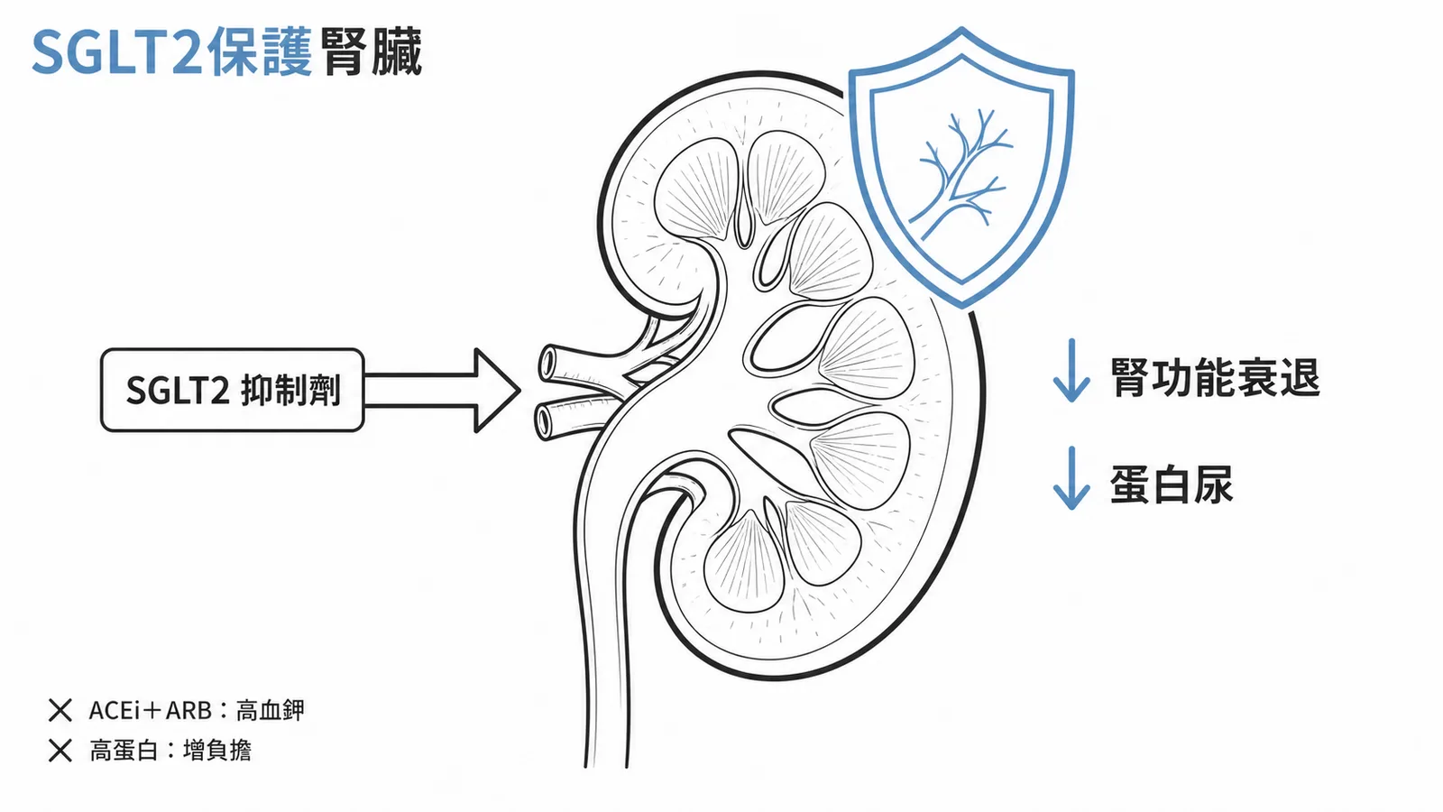 SGLT2 抑制劑保護腎臟的作用機轉示意圖
