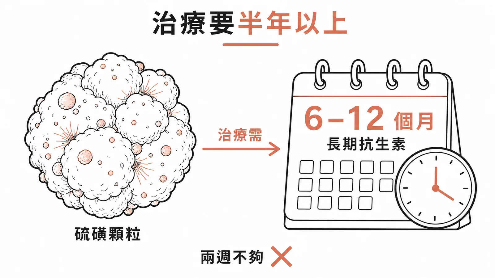 放線菌病治療需 6-12 個月長期抗生素,兩週絕對不夠