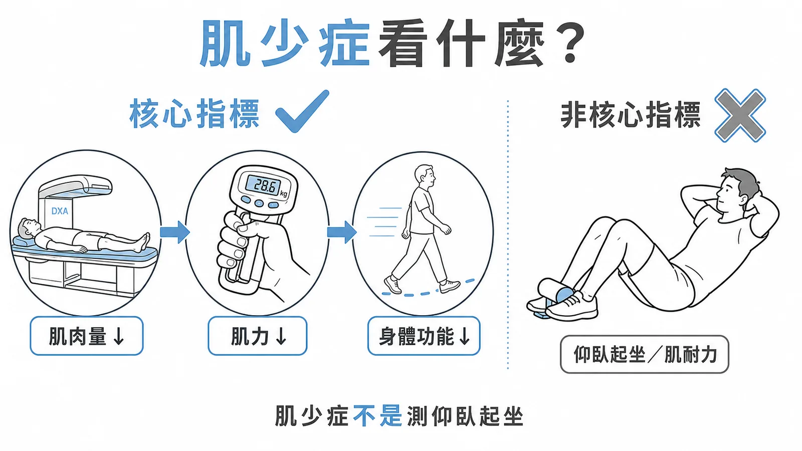 肌少症診斷三要素:肌肉量(DXA)、肌力(握力)、身體功能(走路速度)