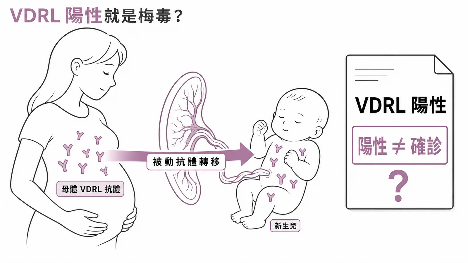 新生兒 VDRL 陽性為母體抗體被動轉移示意圖