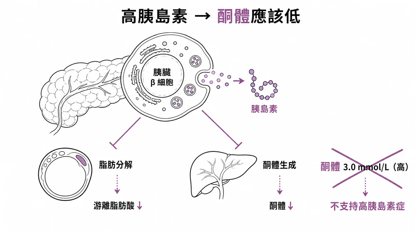高胰島素抑制脂肪分解與酮體生成,酮體高反而不支持高胰島素症