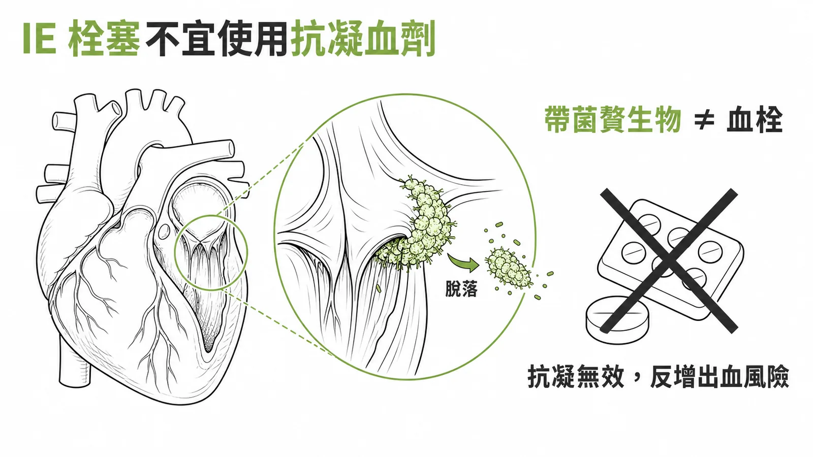 感染性心內膜炎的帶菌贅生物非血栓故抗凝血劑無效