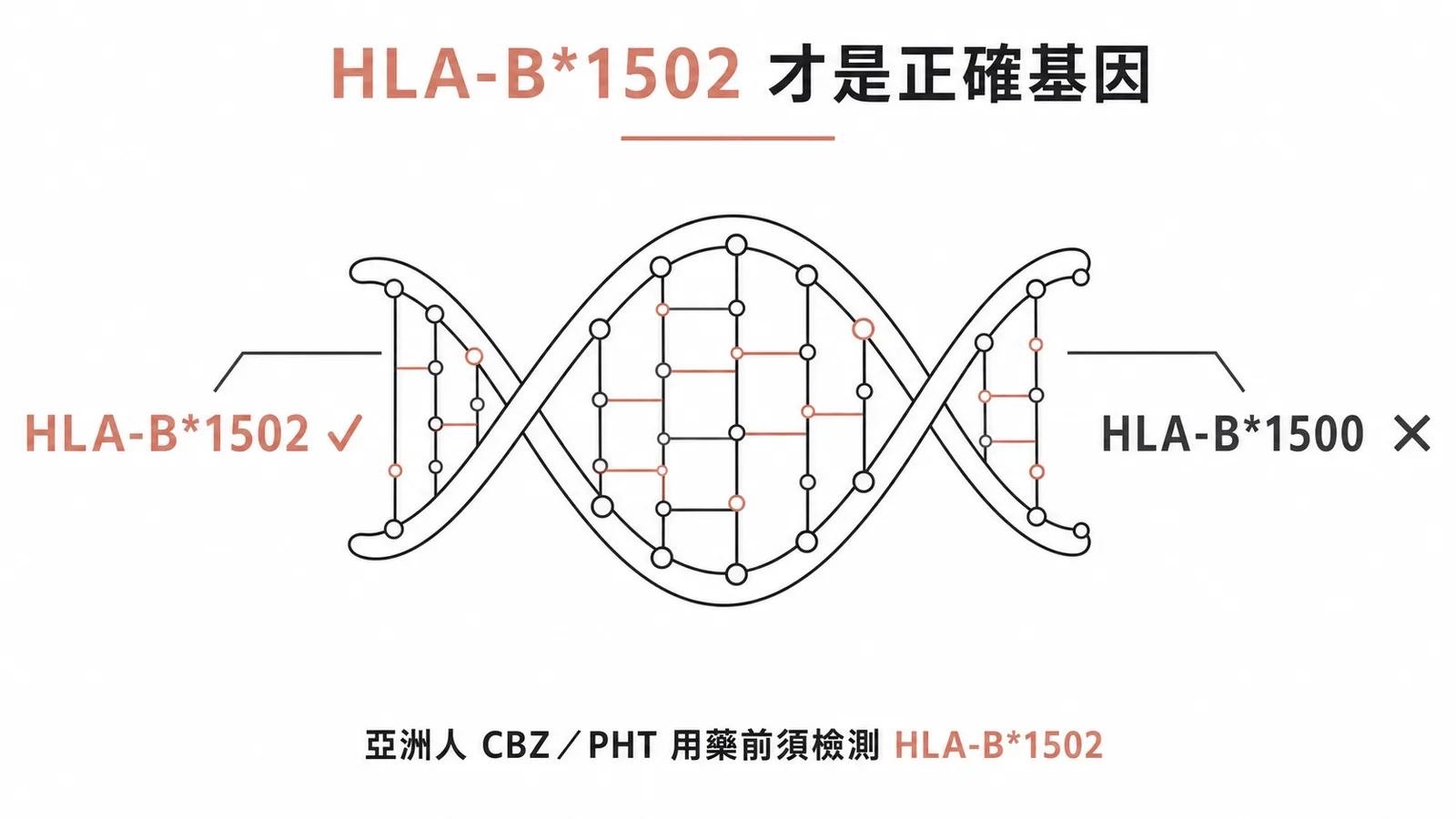 HLA-B*1502才是CBZ/PHT致敏基因而非HLA-B*1500