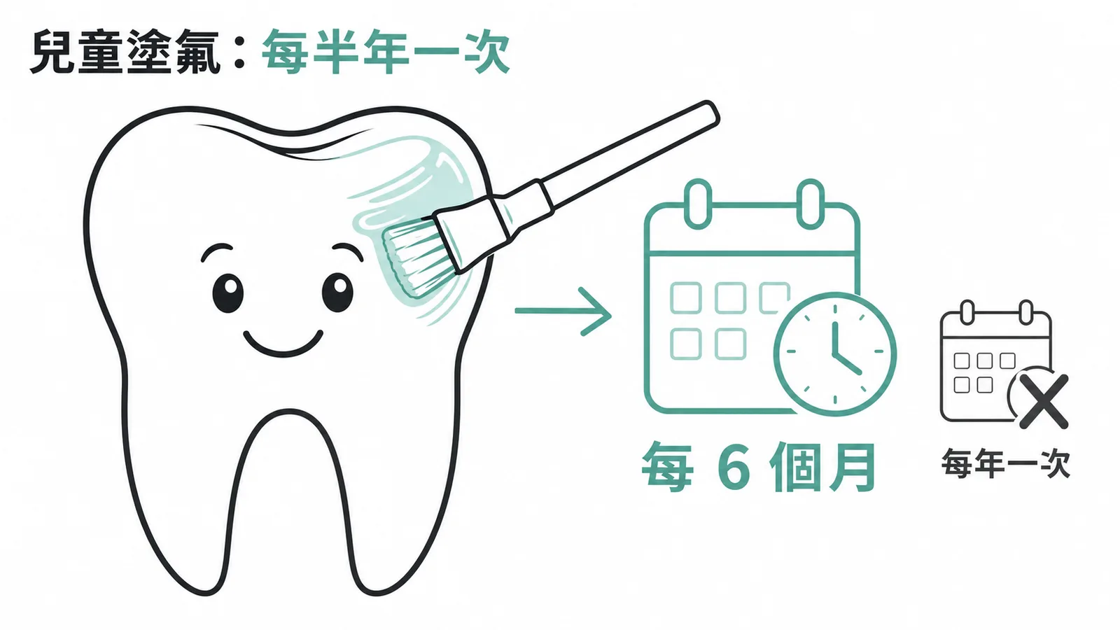 兒童塗氟頻率示意圖：每半年一次而非每年一次