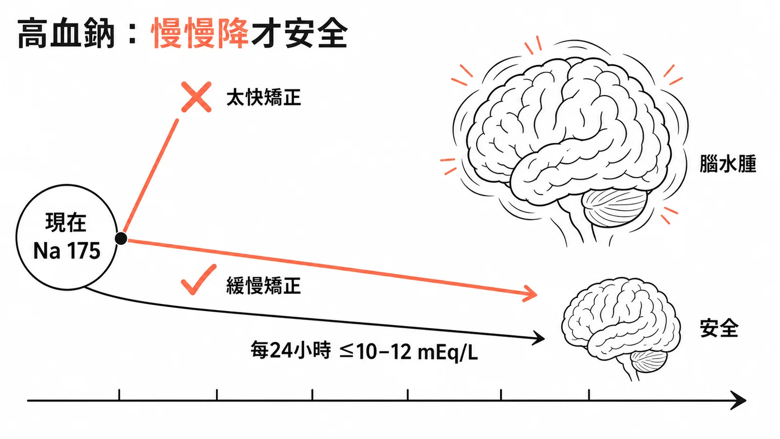 高血鈉矯正速度限制：每24小時降幅不超過10-12 mEq/L，太快矯正會導致腦水腫