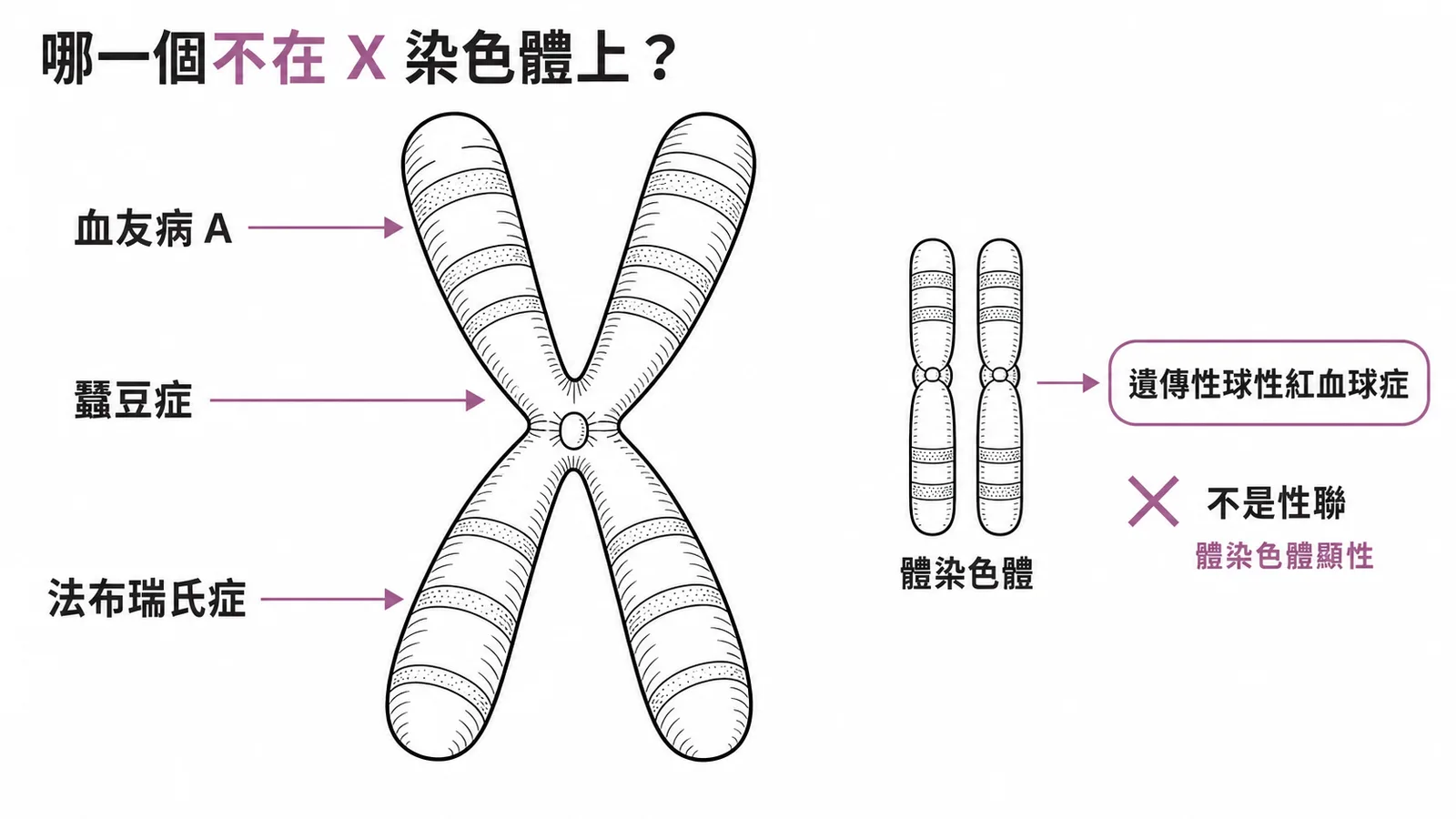 遺傳性球性紅血球症是體染色體顯性遺傳，不在X染色體上