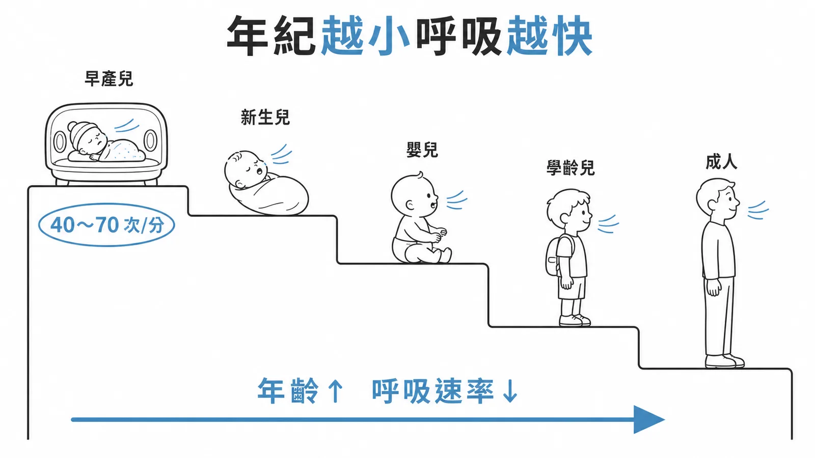 呼吸速率隨年齡遞減：早產兒40至70次每分鐘最快