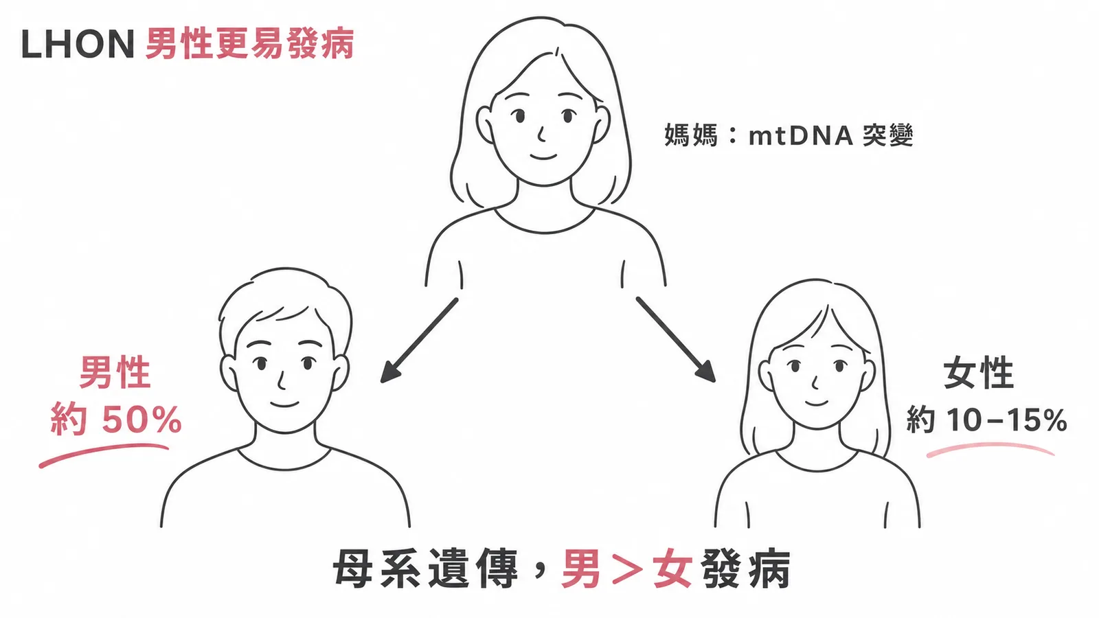 LHON母系遺傳但男性發病率約50%遠高於女性10-15%