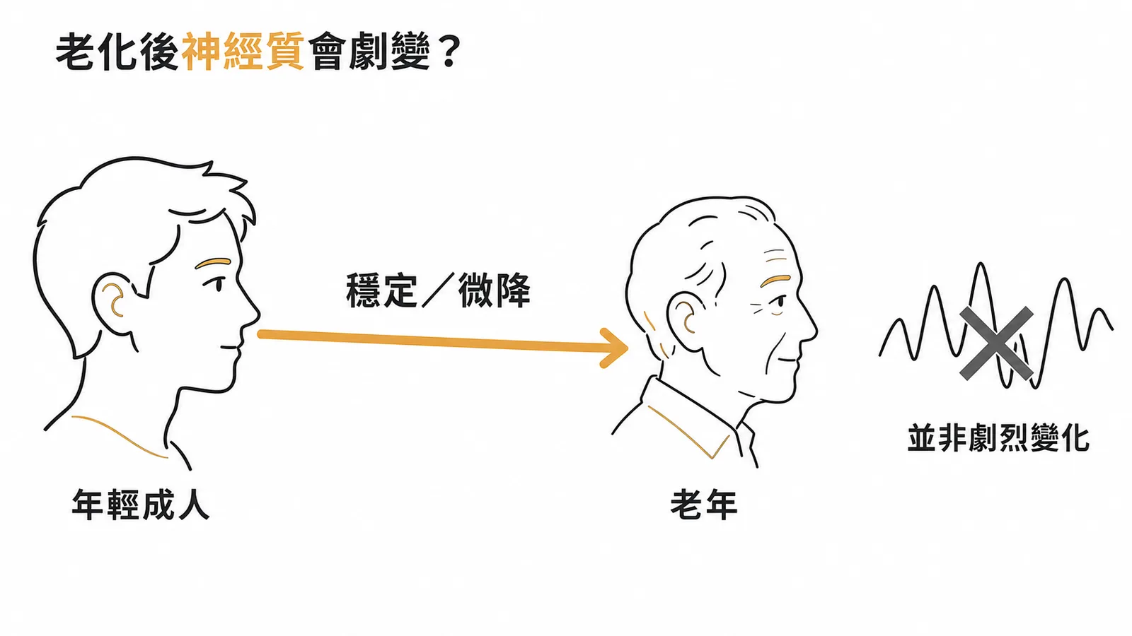正常老化後神經質人格特質維持穩定或微降，並非劇烈變化