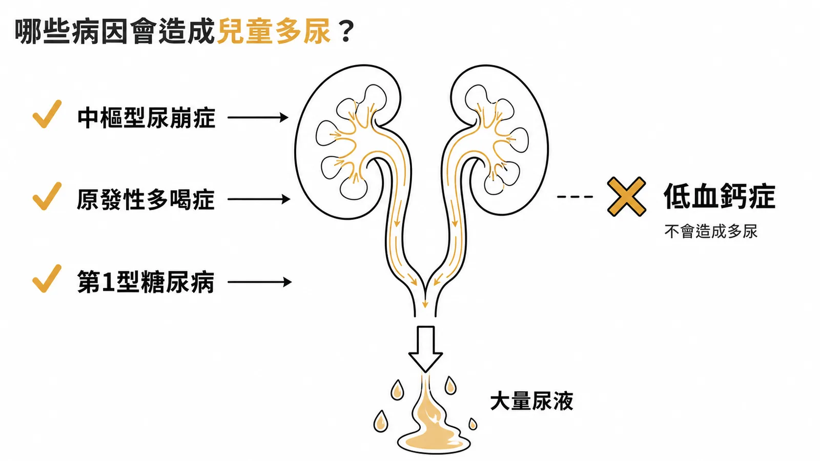 兒童多尿病因：中樞型尿崩症、原發性多喝症、第1型糖尿病會多尿，低血鈣症不會