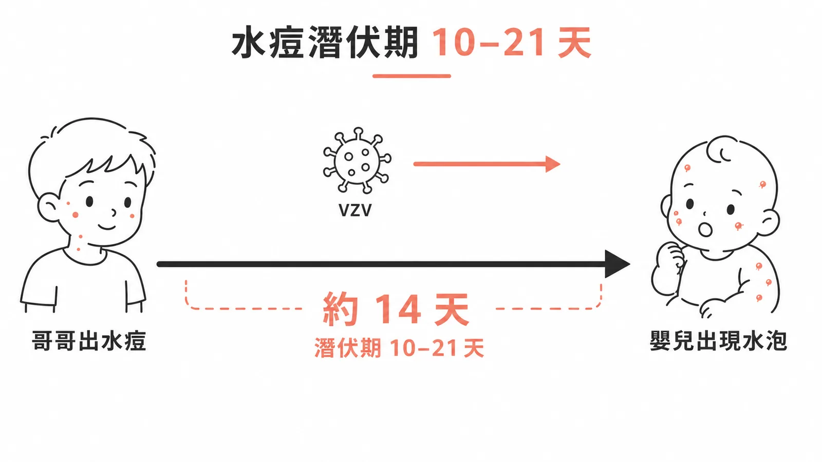 水痘潛伏期10至21天，哥哥2週前出水痘符合嬰兒發病時序