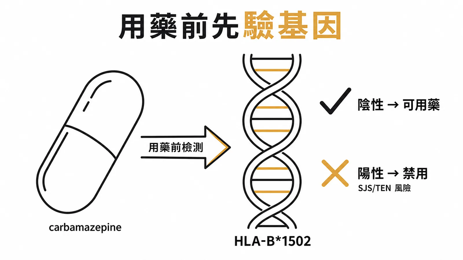 Carbamazepine 用藥前須做 HLA-B*1502 基因檢測以避免 SJS/TEN
