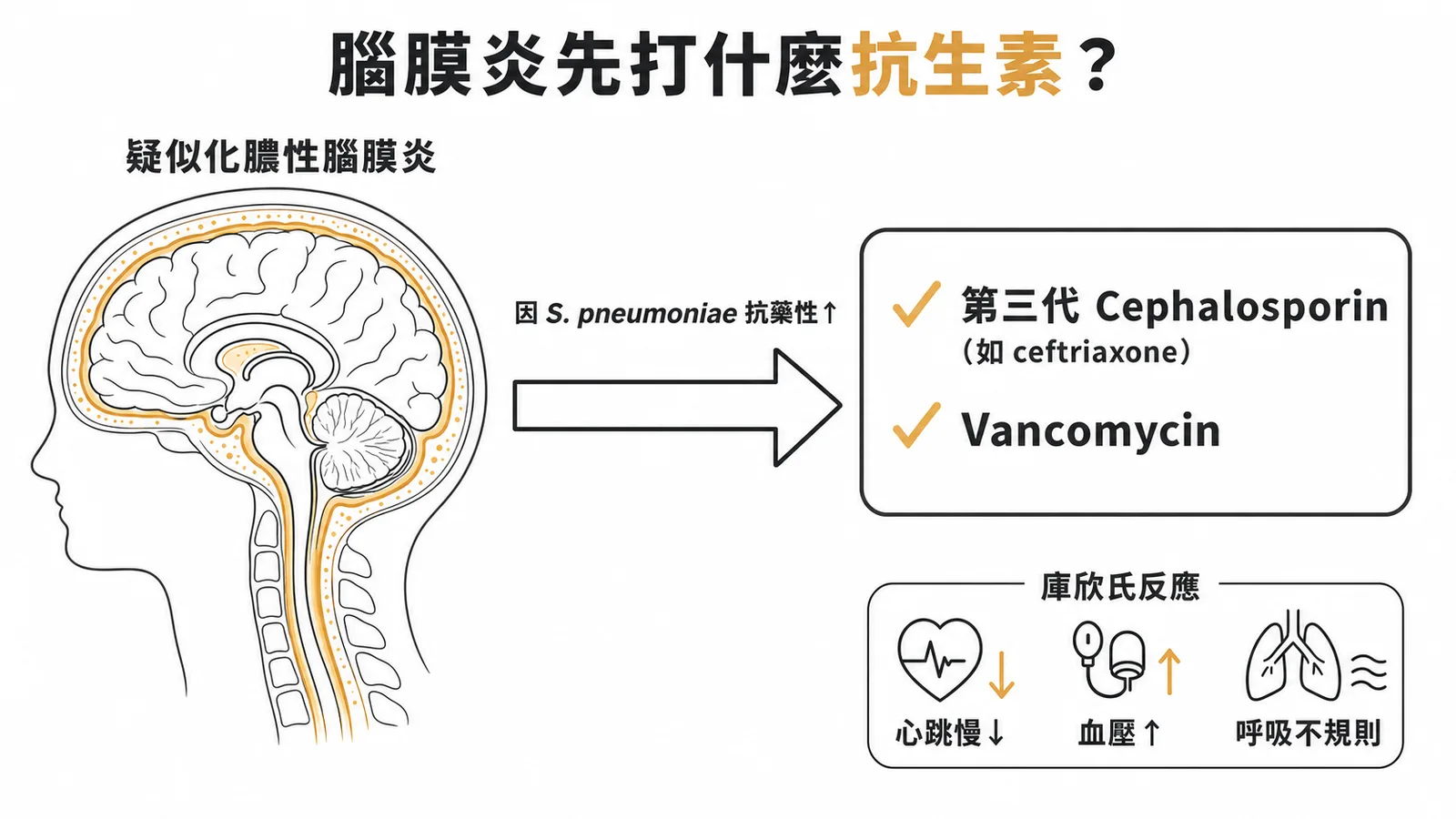 腦膜炎經驗性治療：第三代 Cephalosporin + Vancomycin，庫欣氏反應心跳慢