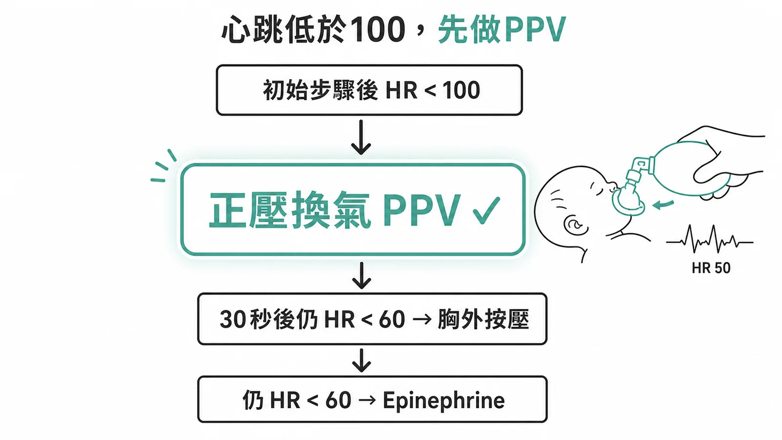 新生兒復甦術NRP流程：心跳低於100先做正壓換氣
