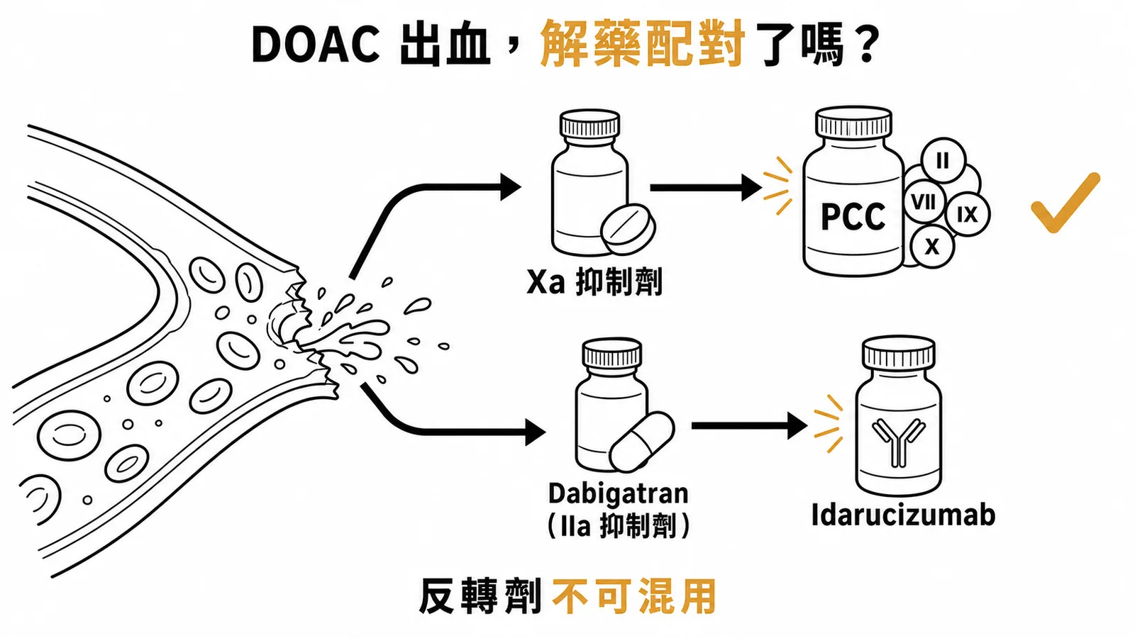 DOAC出血反轉劑配對示意圖：Factor Xa抑制劑用PCC反轉，Dabigatran用Idarucizumab