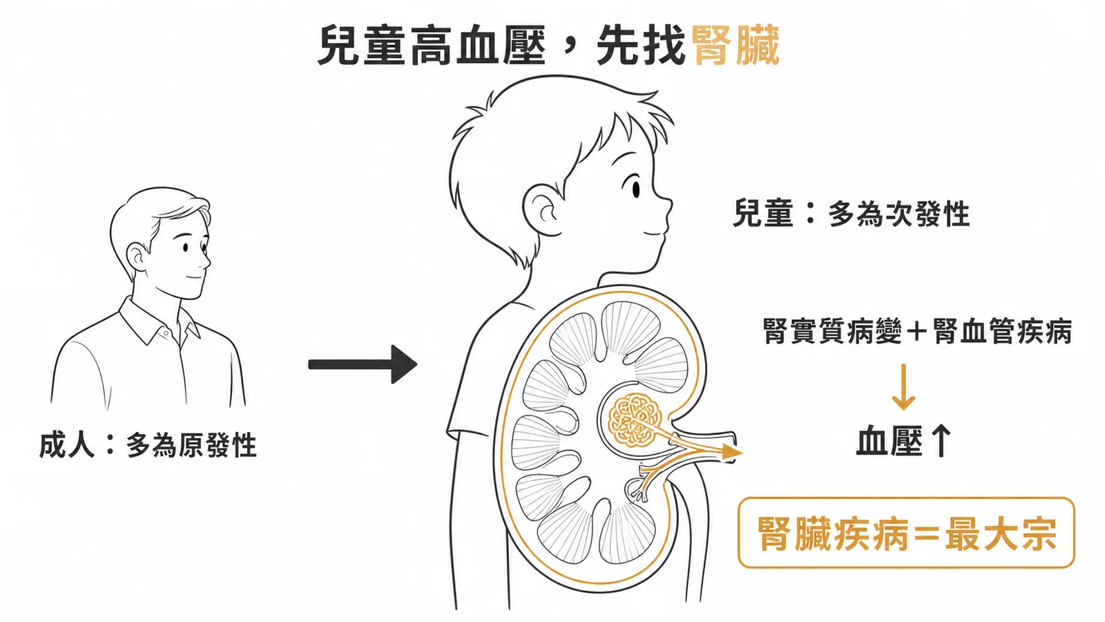 兒童高血壓多為次發性其中腎臟疾病是最常見原因