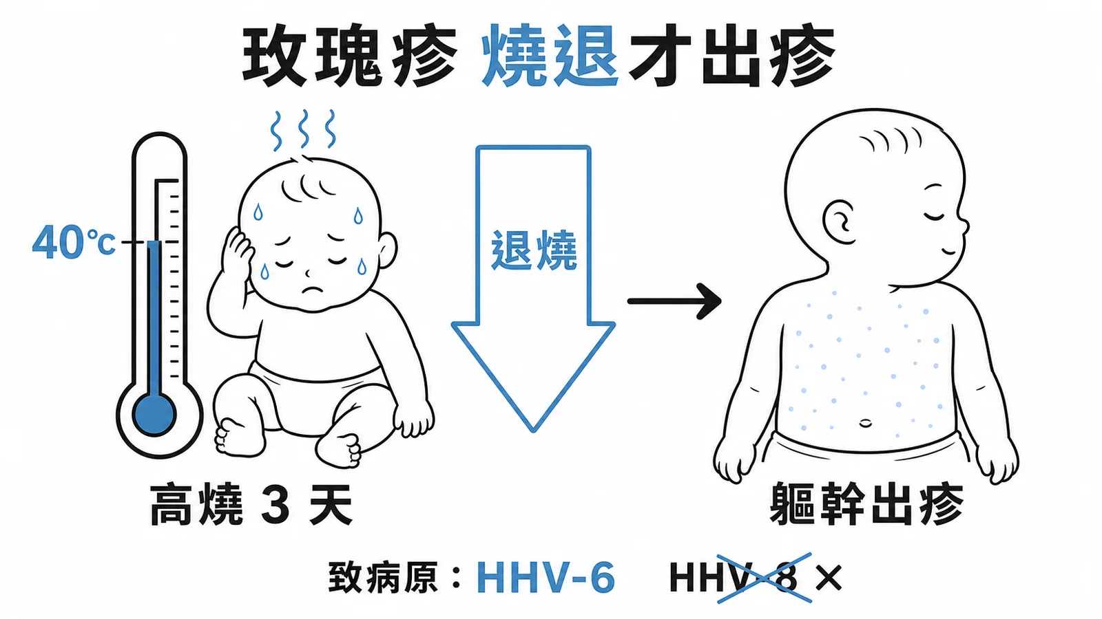嬰兒玫瑰疹病程示意圖：高燒三天退燒後軀幹出疹，致病原HHV-6