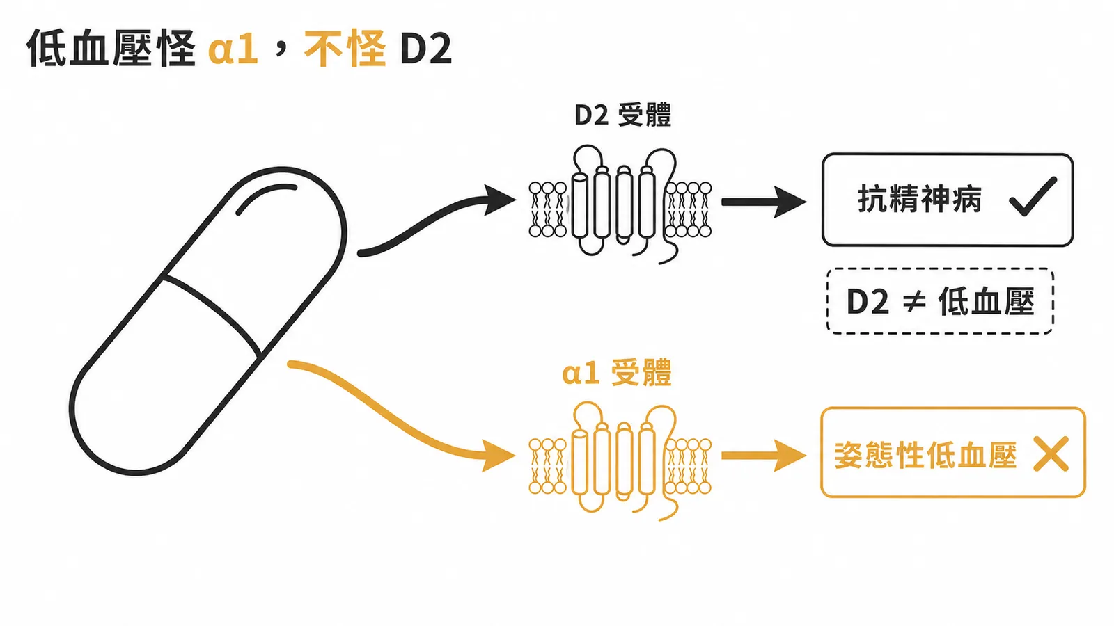 抗精神病藥姿態性低血壓的機轉是α1腎上腺素受體阻斷,非D2多巴胺受體