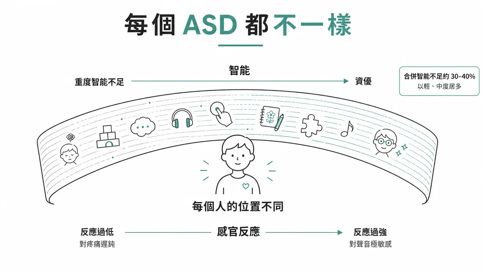 ASD是一個譜系：智能從重度不足到資優，感官反應可過低或過強，合併智能不足約30-40%以輕中度居多