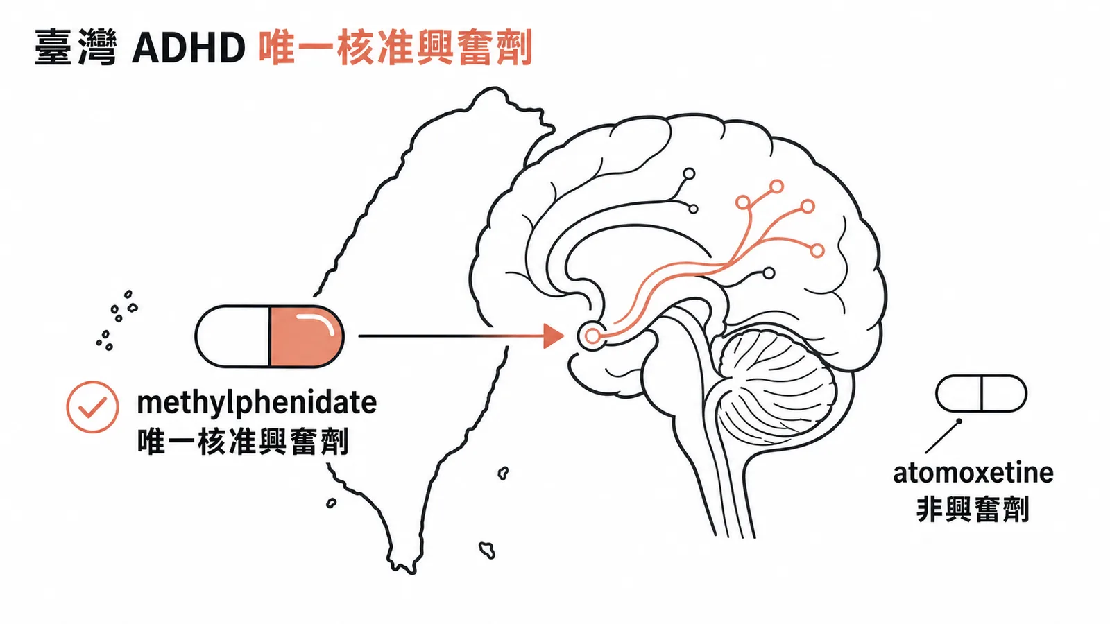 臺灣ADHD唯一核准興奮劑:methylphenidate與非興奮劑atomoxetine對照