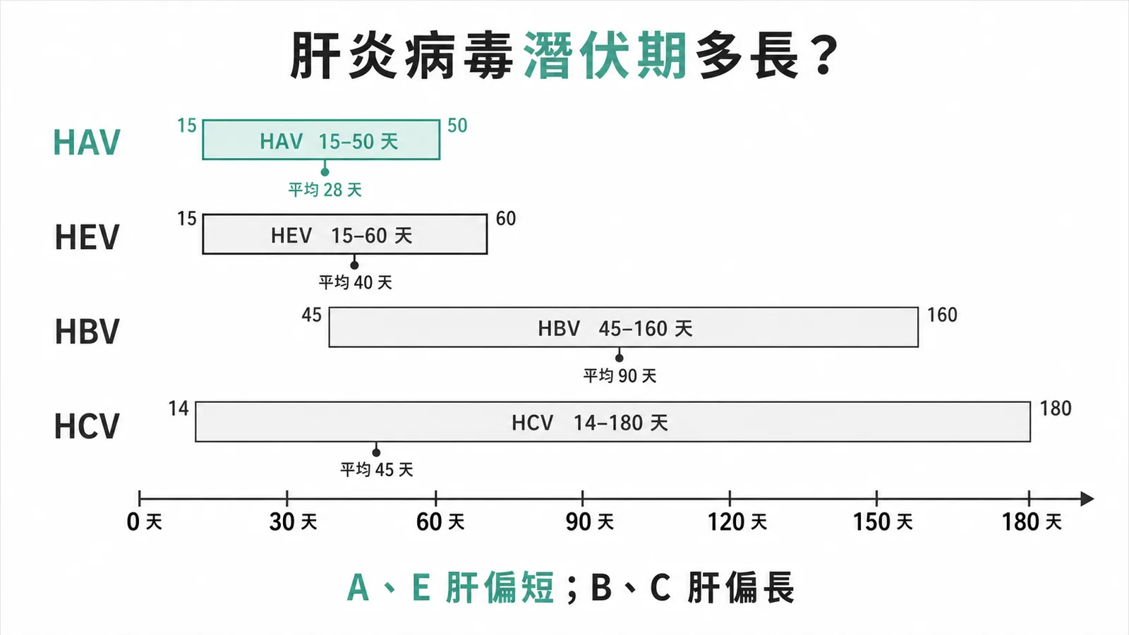 各型肝炎病毒潛伏期比較：A肝E肝偏短、B肝C肝偏長