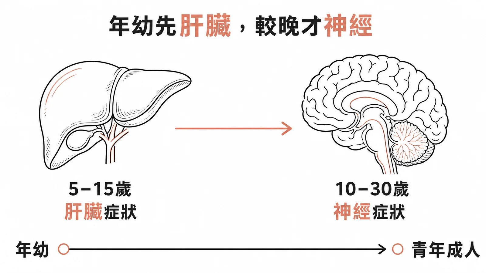 威爾森氏症年齡與症狀時間軸：年幼先肝臟、較晚才神經
