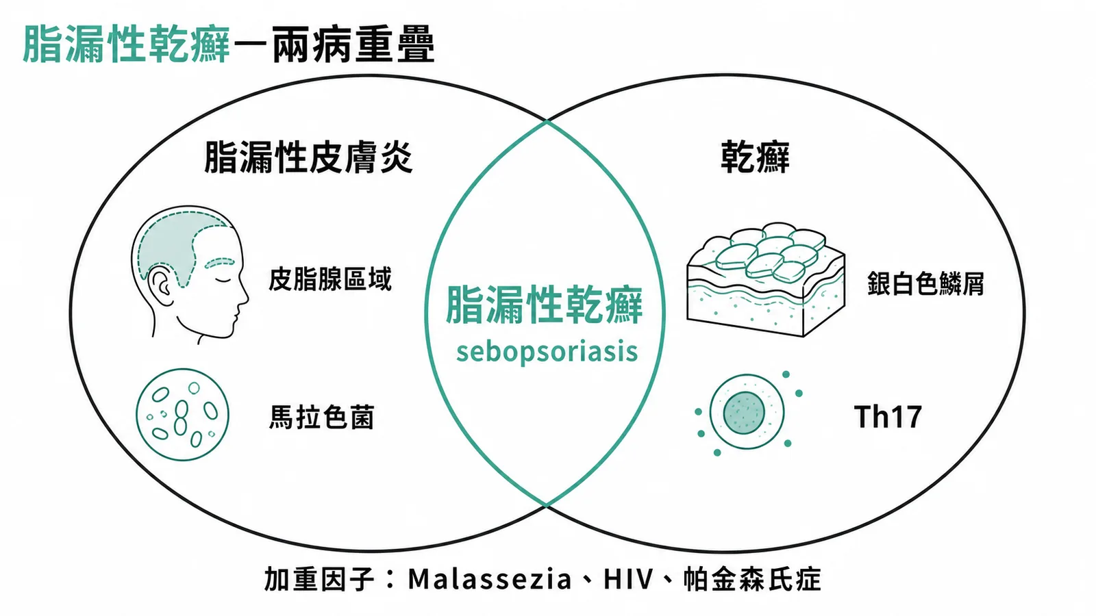 脂漏性乾癬：脂漏性皮膚炎與乾癬的文氏圖重疊