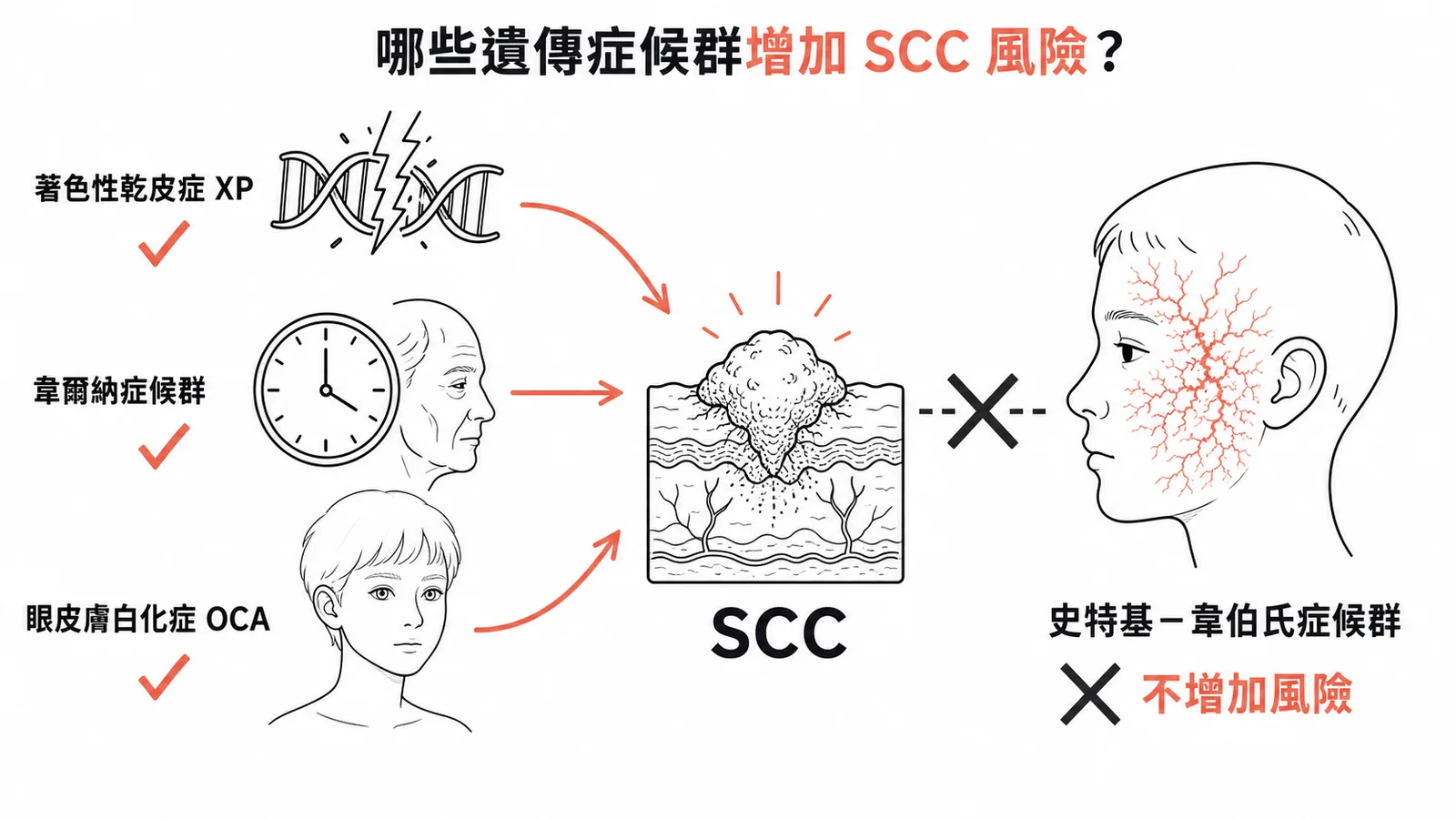 遺傳症候群與 SCC 風險:XP、Werner、OCA 增加風險,Sturge-Weber 不增加