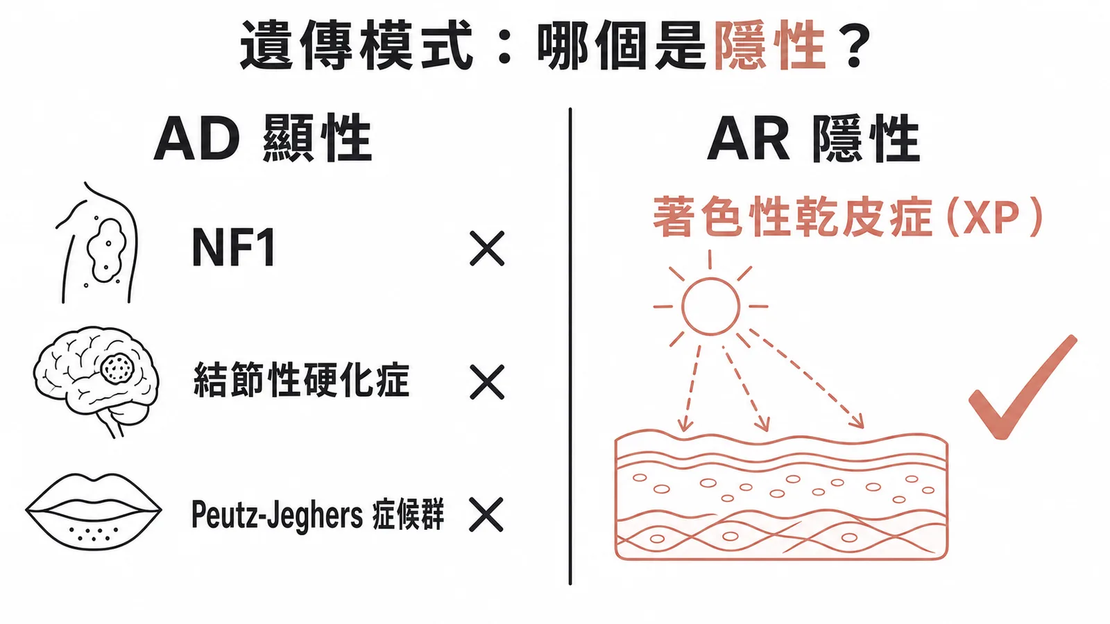 遺傳模式分類：NF1、結節性硬化、PJS為顯性AD，著色性乾皮症XP為隱性AR