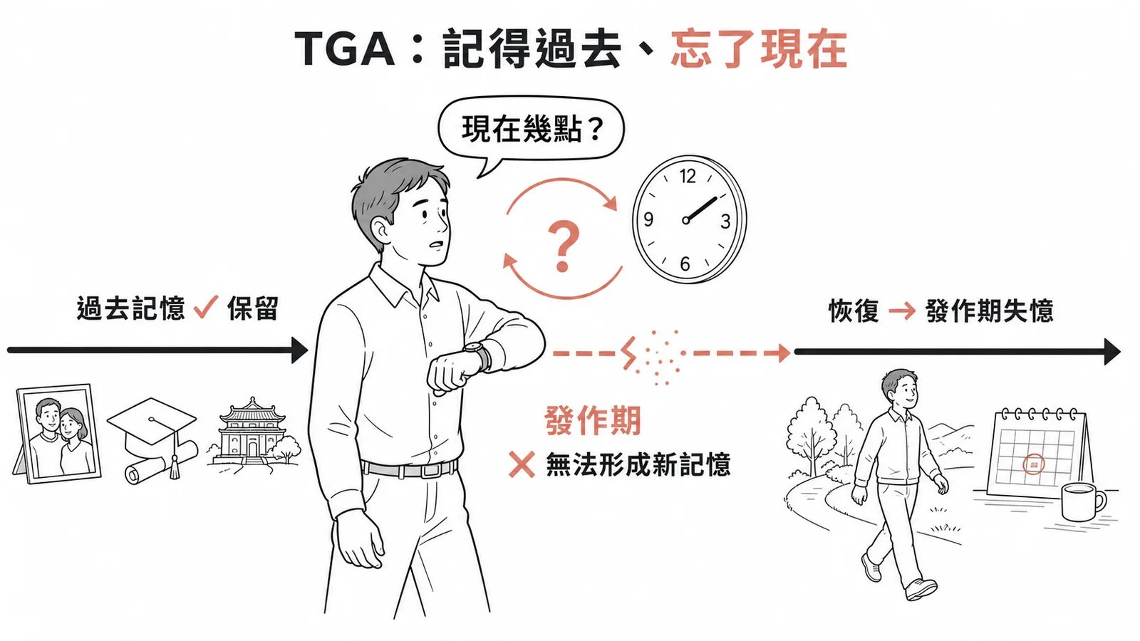 TGA特徵:過去記憶保留、發作期無法形成新記憶(順行性失憶)、恢復後對發作期失憶