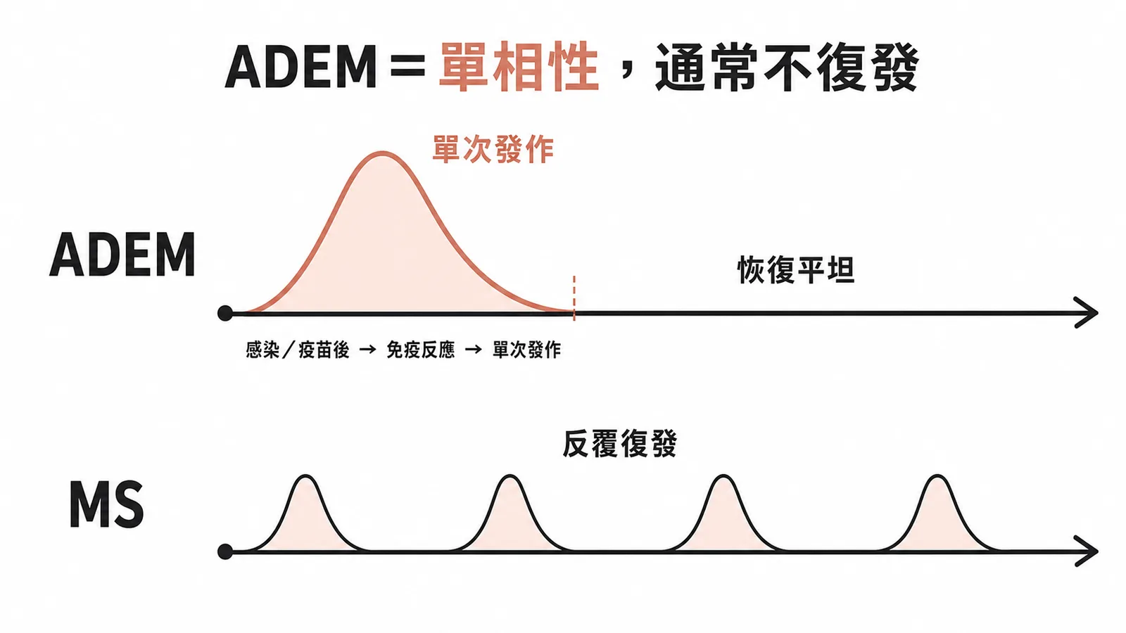 ADEM與MS病程對比：ADEM為單相性單次發作後恢復，MS為反覆復發多個山峰
