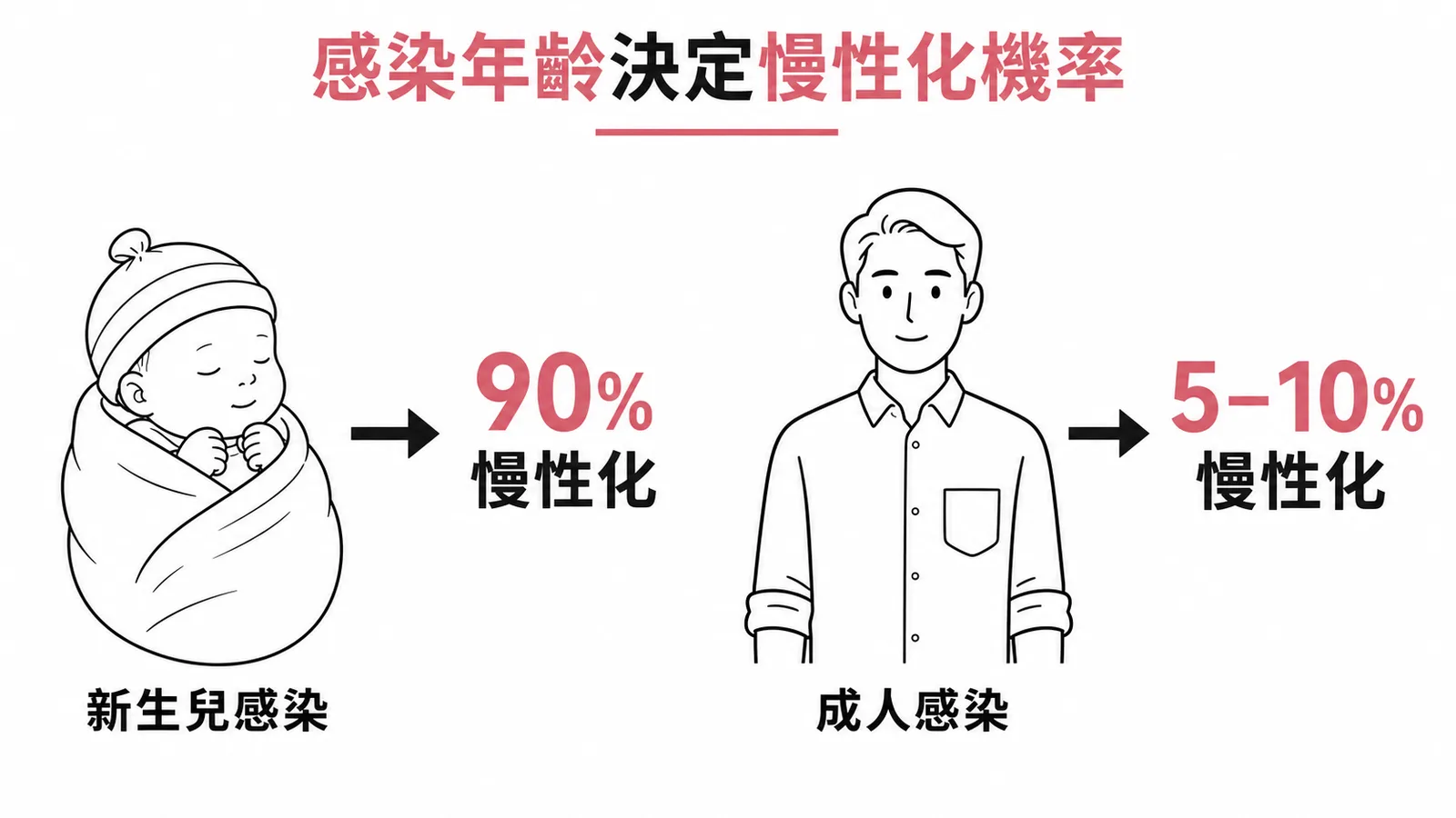 B型肝炎感染年齡與慢性化機率對比：新生兒90%、成人5-10%