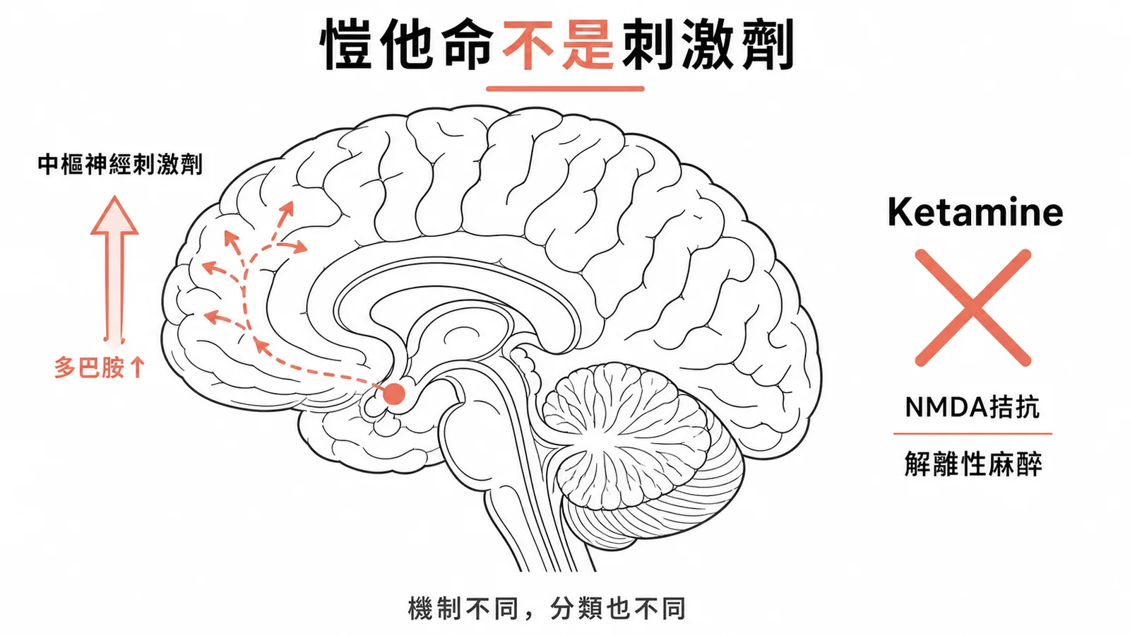 中樞神經刺激劑分類:愷他命不屬於刺激劑