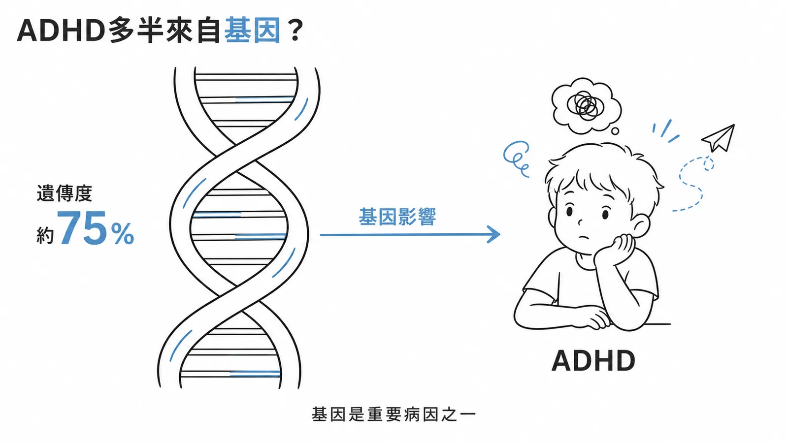ADHD 遺傳度約百分之七十五的示意圖
