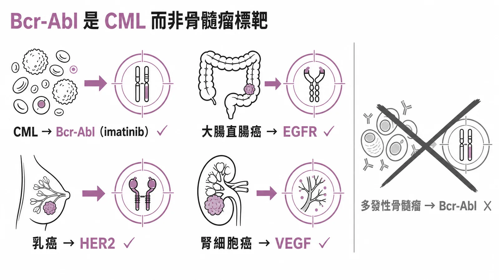 Bcr-Abl 是 CML 標靶而非多發性骨髓瘤標靶