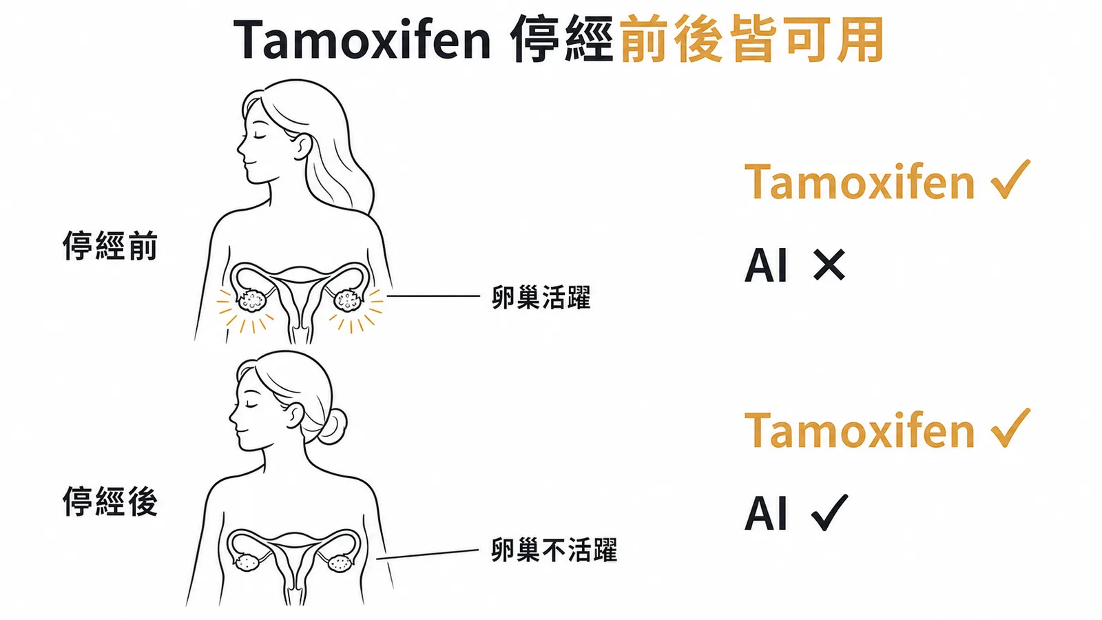 Tamoxifen 停經前後皆可用，芳香環酶抑制劑僅限停經後