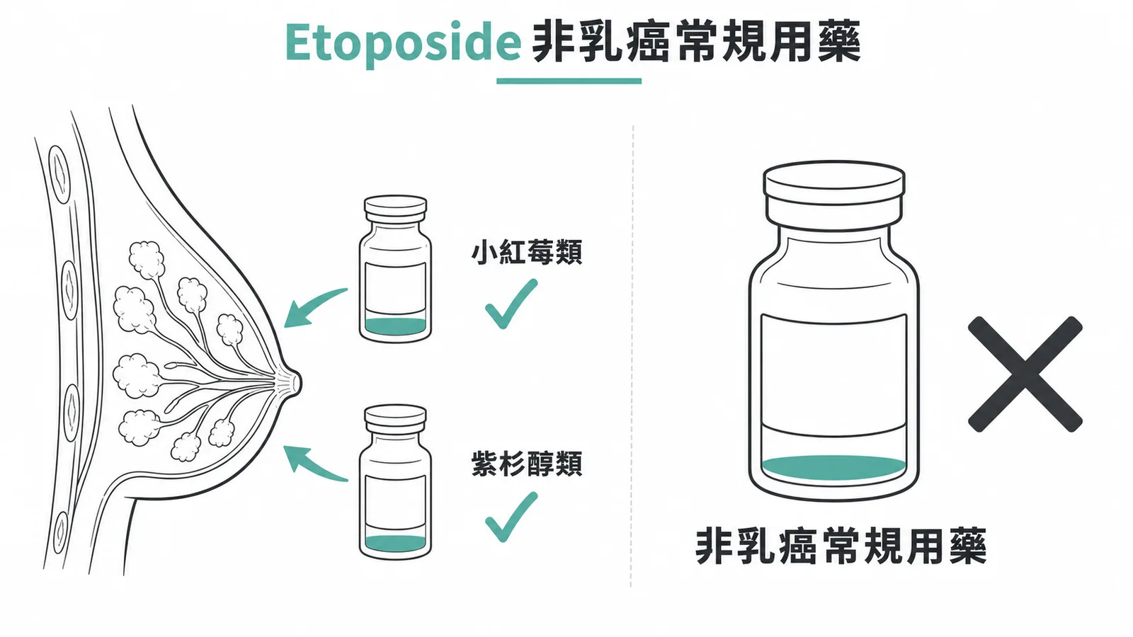 Etoposide 非乳癌常規用藥:小紅莓類與紫杉醇類為乳癌化療基石藥物