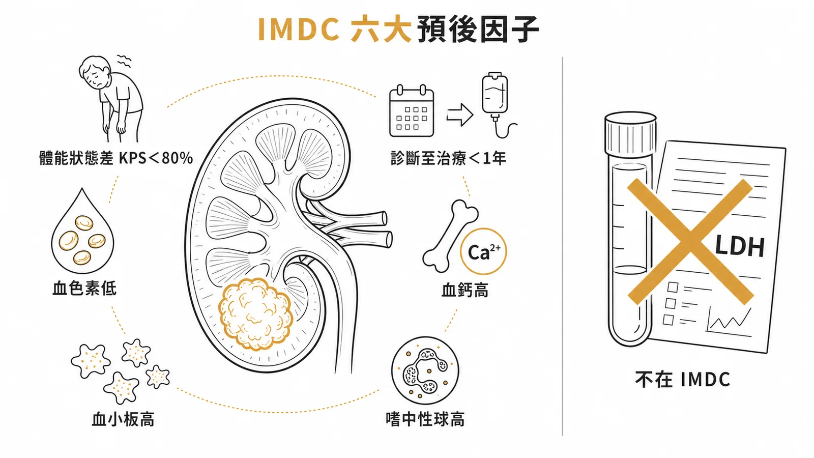 IMDC 轉移性腎細胞癌六大預後危險因子與 LDH 排除