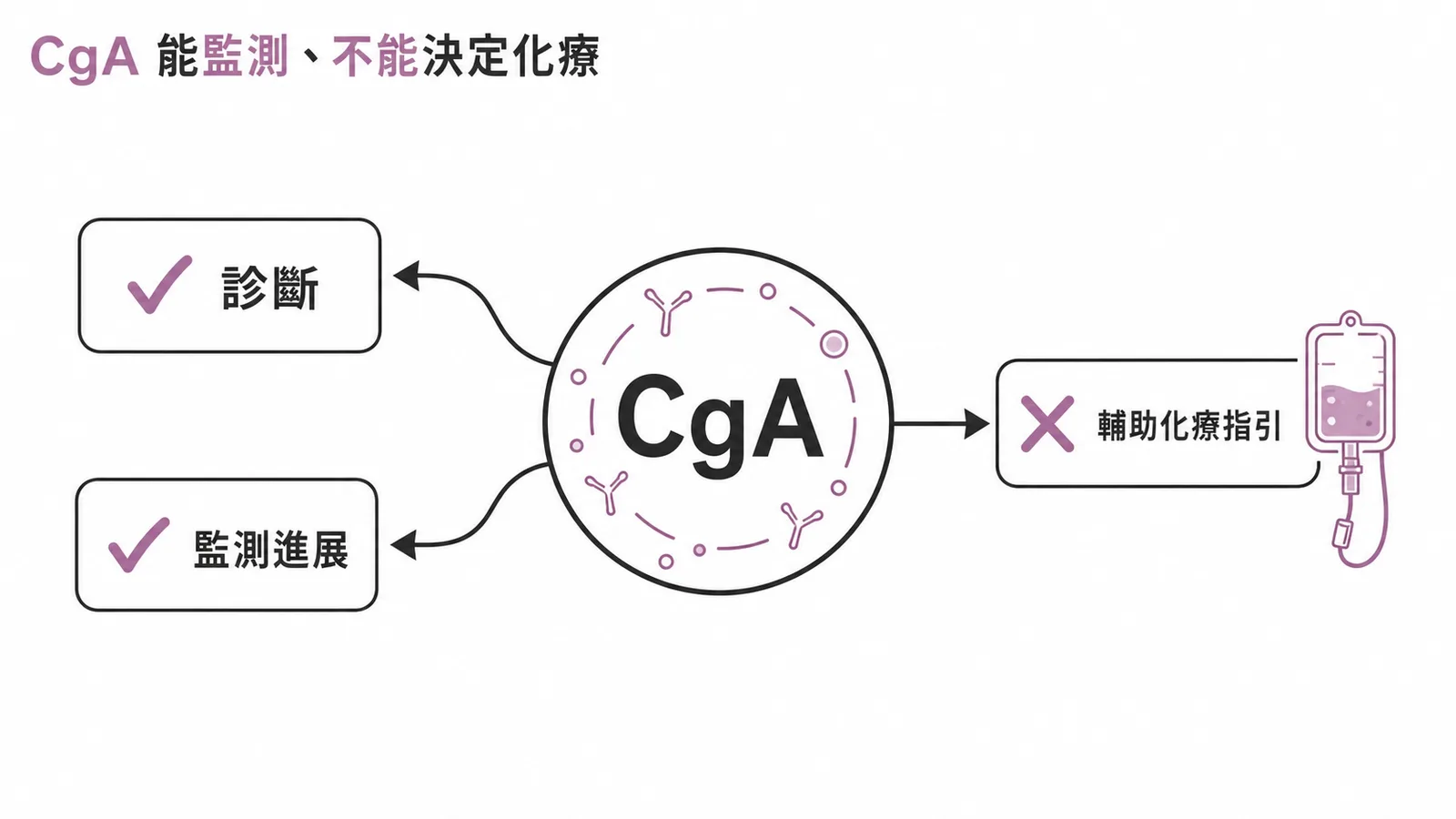CgA嗜鉻粒蛋白A用於診斷與監測胰臟內分泌腫瘤，但不能作為輔助化療的決策依據