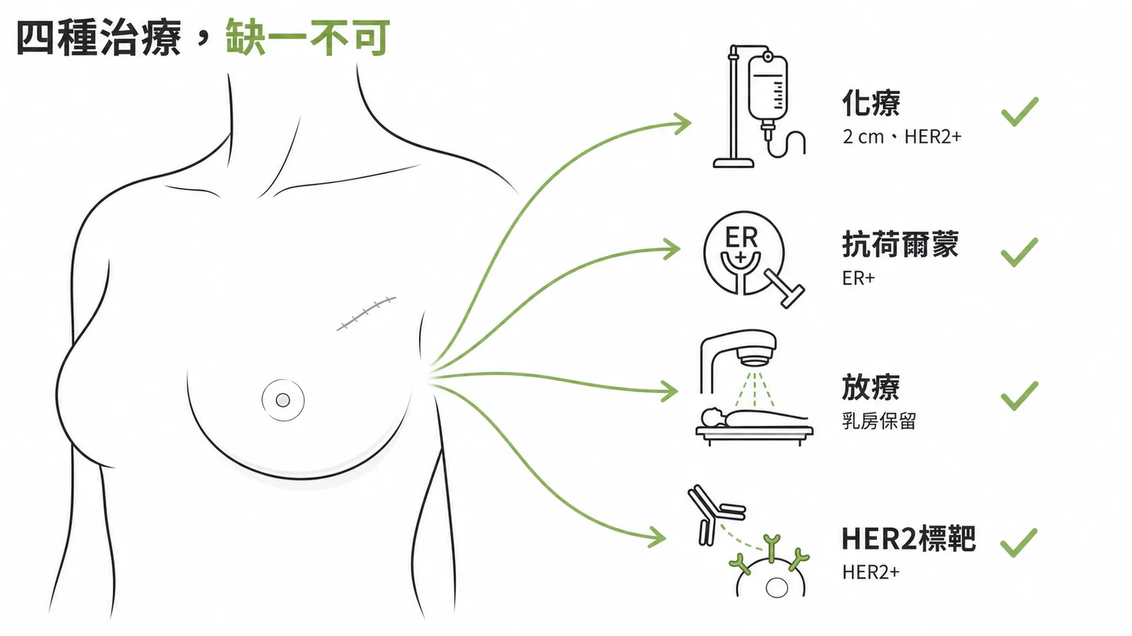 ER陽性HER2陽性乳癌術後四種輔助治療缺一不可