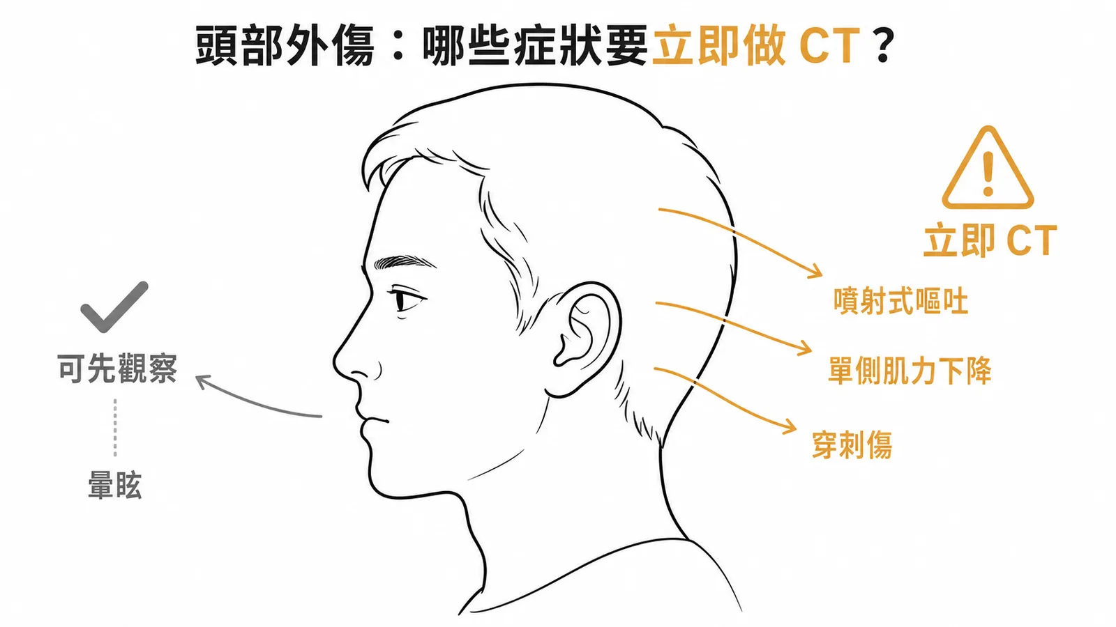 頭部外傷後需立即CT與可先觀察的症狀分類示意圖