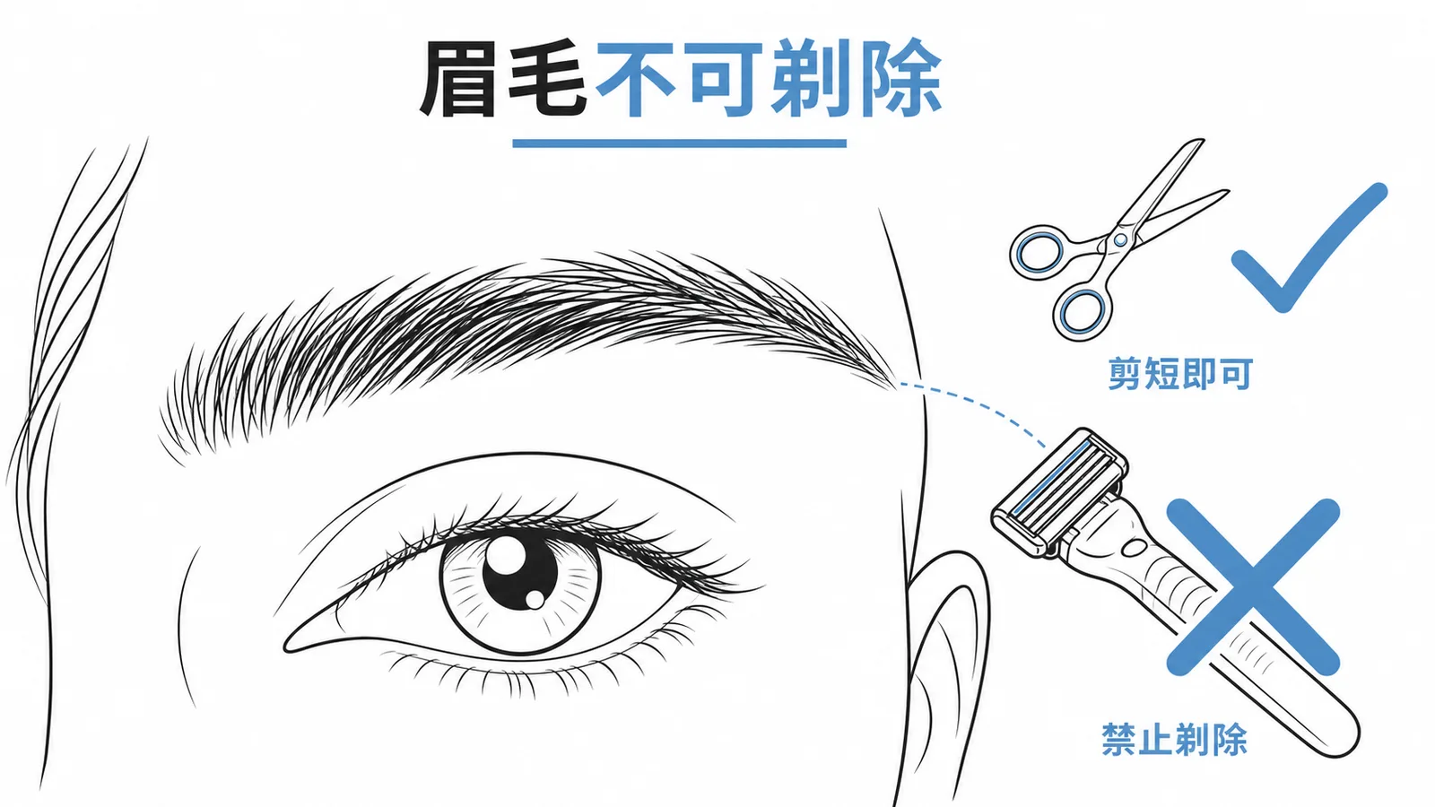 傷口處置：眉毛禁止剃除，應以剪刀剪短示意圖