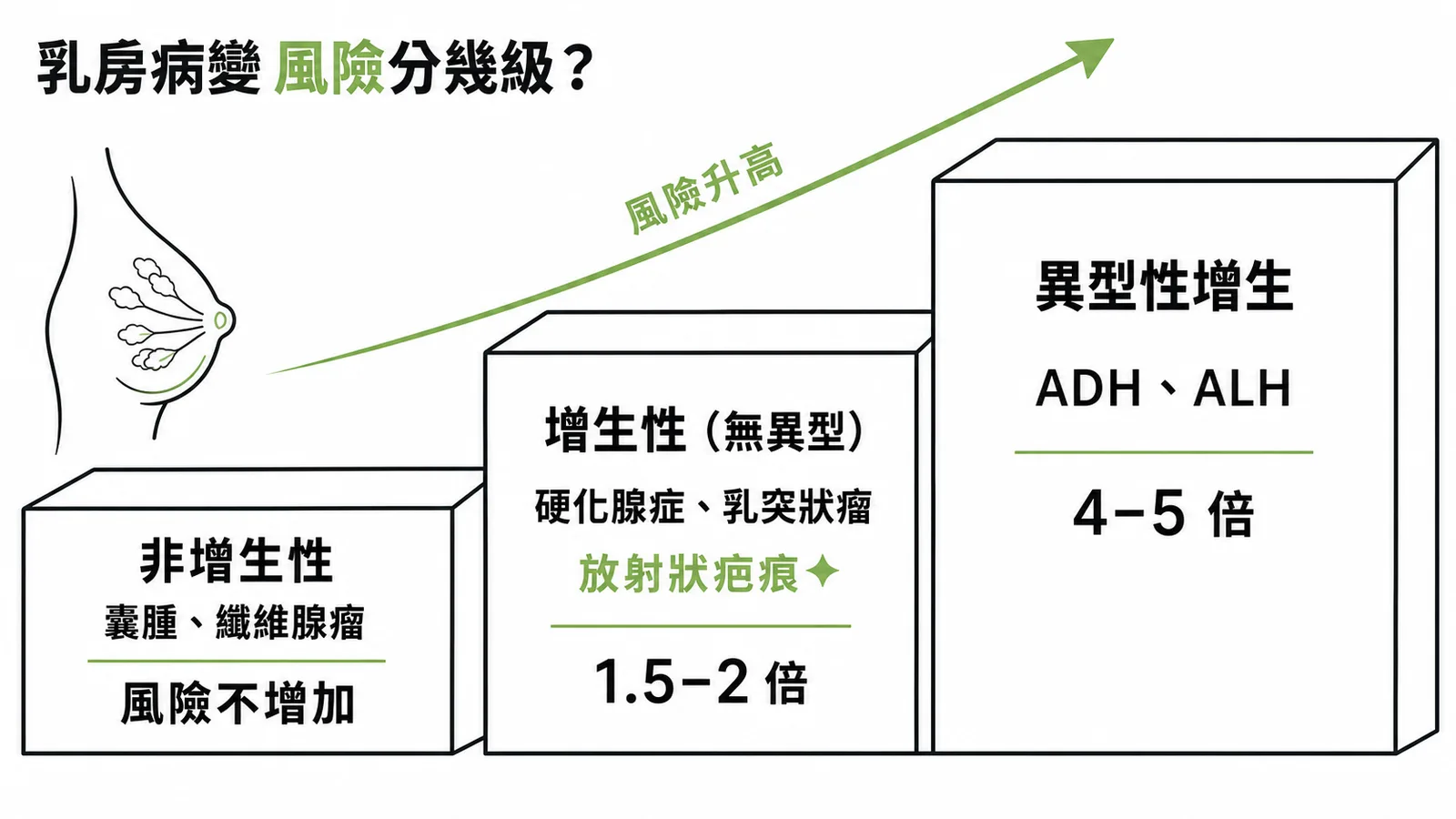 乳房病變乳癌風險三級分類：非增生性(不增加)→增生性無異型(1.5-2倍，放射狀疤痕為高危)→異型性增生(4-5倍)