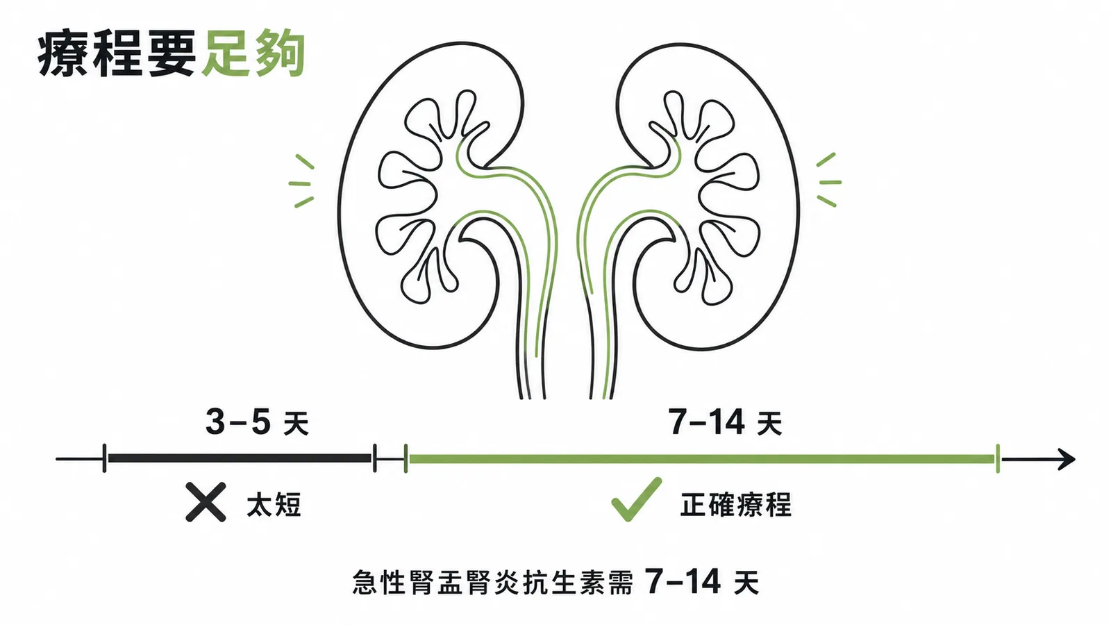 急性腎盂腎炎抗生素需7到14天