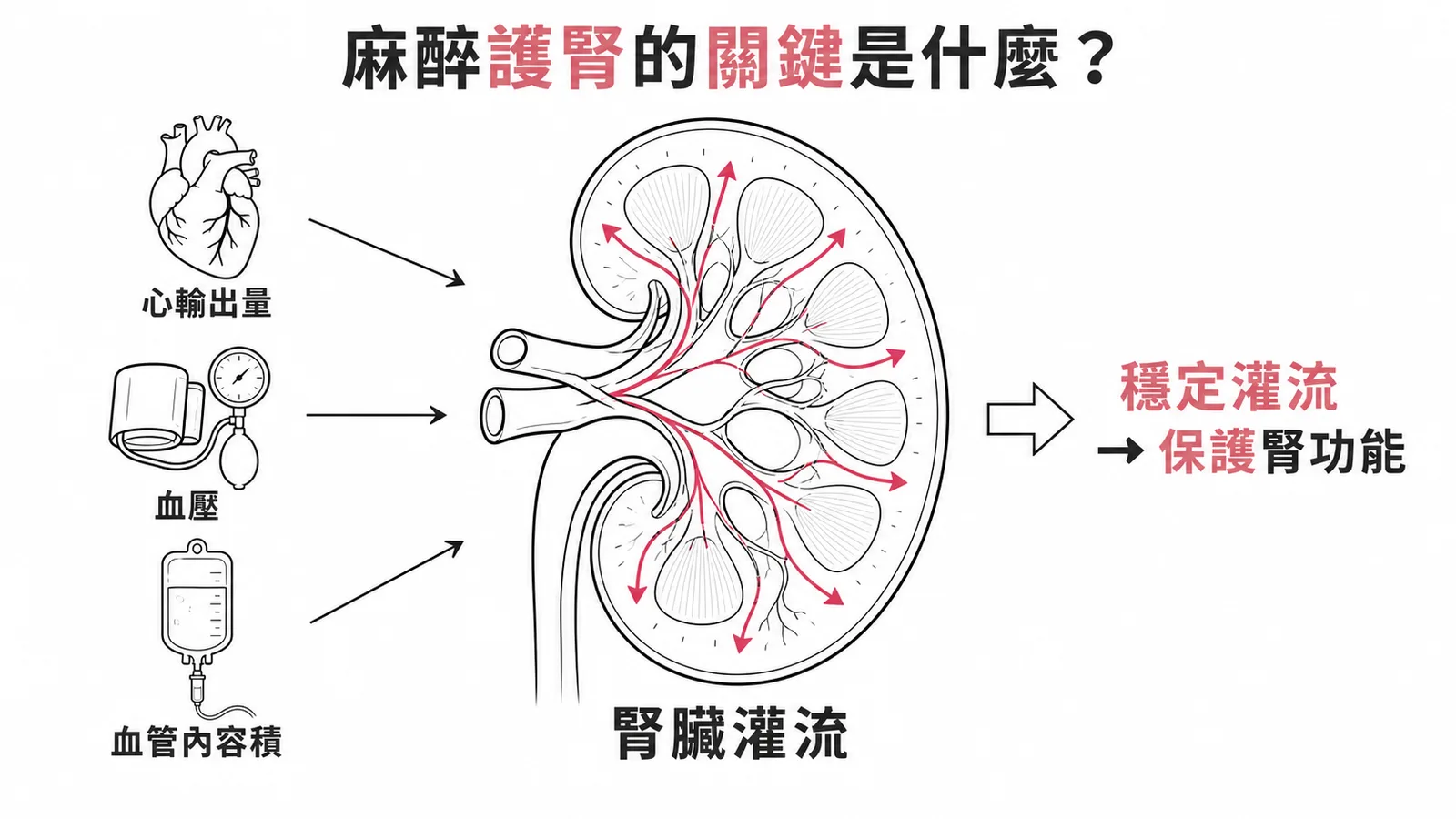 麻醉護腎關鍵：維持心輸出量、血壓、血管內容積以確保腎臟穩定灌流