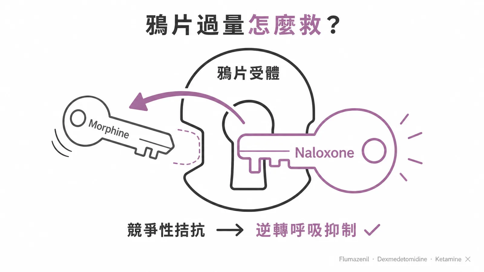 Naloxone 競爭性拮抗鴉片受體，逆轉呼吸抑制