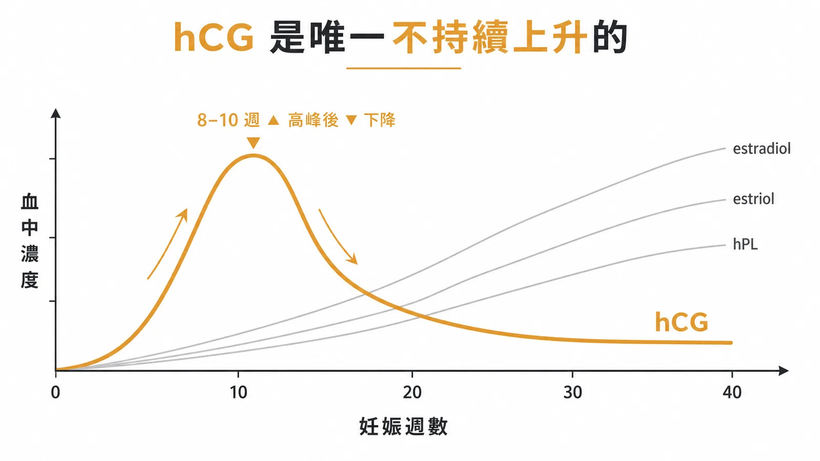 懷孕期間荷爾蒙濃度變化:hCG 在 8-10 週達高峰後下降,其他荷爾蒙持續上升